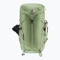 Turistinė kuprinė deuter Trail 30 l grove-ivy 6