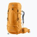 Žygio kuprinė deuter Aircontact Lite 40 + 10 l amber-maple 11