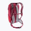 Dviračio kuprinė deuter Race 16 l cherry/masala 7
