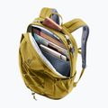 Kuprinė deuter Gogo 25 l kelp/nori 8