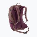 Turistinė kuprinė deuter Futura 21 l SL cassis/ashrose 5
