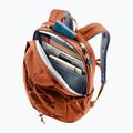 Kuprinė Deuter Gogo copper/oak 8