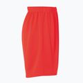 Vaikiški futbolo šortai uhlsport Center Basic red 100334225 5