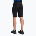 Vyriški žygio šortai Salewa Agner Light black 00-0000027380 3