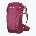 Salewa Alp Trainer 20 l moteriška trekingo kuprinė violetinė 00-00000000001262