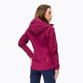 Salewa moteriška striukė nuo lietaus Sella Responsive maroon 00-0000027879 3