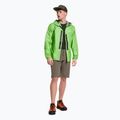 Salewa vyriška striukė nuo lietaus Lagorai GTX Active žalia 00-0000027900 2