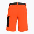 Vyriški trekingo šortai Salewa Pedroc Cargo 2 orange 00-0000026934 5