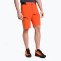 Vyriški trekingo šortai Salewa Pedroc Cargo 2 orange 00-0000026934