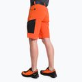 Vyriški trekingo šortai Salewa Pedroc Cargo 2 orange 00-0000026934 3