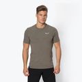 Salewa Lavaredo Hemp green vyriški trekingo marškinėliai 00-0000028061