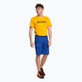 Vyriški žygio šortai Salewa Agner Light blue 00-0000027380 2