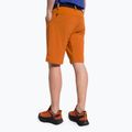 Salewa vyriški trekingo šortai Puez 3 orange 00-0000027401 3