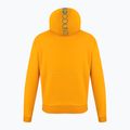 Vyriški alpinistiniai džemperiai Wild Country Flow 2 oranžinės spalvos 40-0000095230 6
