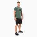 Salewa Pure Box Dry vyriški trekingo marškinėliai žali 00-0000028378 2