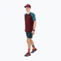 Vyriški bėgimo marškinėliai DYNAFIT Alpine Pro bordo spalvos 08-0000070964