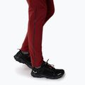 Moteriškos trekingo kelnės Salewa Pedroc 2 DST 2/1 kaštoninės spalvos 00-0000028588 8