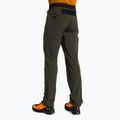 Vyriškos trekingo kelnės Salewa Pedroc 4 DST green 00-0000028591 3