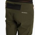 Vyriškos trekingo kelnės Salewa Pedroc 4 DST green 00-0000028591 4