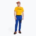 Vyriškos trekingo kelnės Salewa Pedroc 2 DST Light blue 00-0000028597 2