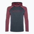 Vyriška striukė DYNAFIT 24/7 PTC Hoody burgundy 2