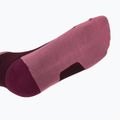 Bėgimo kojinės DYNAFIT Transalper burgundy 3