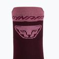 Bėgimo kojinės DYNAFIT Transalper burgundy 4