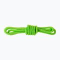 Pagalbinas lynas Salewa Ortles Master Cord 6mm Precut green