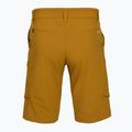Vyriški žygio šortai Salewa Puez DST Cargo golden brown 2