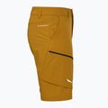 Vyriški žygio šortai Salewa Puez DST Cargo golden brown 3