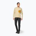 Vyriškas džemperis Salewa Fanes Dry Pullover quicksand 2