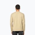 Vyriškas džemperis Salewa Fanes Dry Pullover quicksand 3