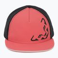 Kepuraitė su snapeliu DYNAFIT Tech Trucker cabana 2