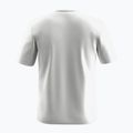 Vyriški marškinėliai Salewa Eagle Geometric optical white 2