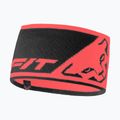 Galvos juosta DYNAFIT Leopard Logo cabana/0910
