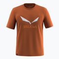 Vyriški marškinėliai Salewa Solidlogo Dry bombay brown
