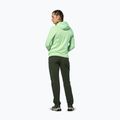 Moteriška striukė nuo vėjo Salewa Pedroc Polarlite Wind Hood pastel green 3