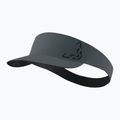 Bėgimo kepuraitė su snapeliu DYNAFIT Alpine Visor Band 0521 cinder/0910