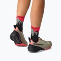 Slidinėjimo kojinės DYNAFIT Traverse Mid black out ultra coral/6a10 3