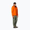 Vyriška softshell striukė Salewa Agner 3 PTX 3L turmeric 2