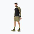 Vyriški bėgimo šortai DYNAFIT Alpine Pro 2IN1 military green 2