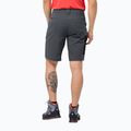Jack Wolfskin vyriški Active Track trekingo šortai pilkos spalvos 1503791_6116 2