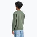 Vyriškas džemperis Alpha Industries Basic dark olive 5