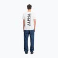 Vyriški marškinėliai Alpha Industries Backprint white 3