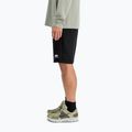 Vyriški šortai Alpha Industries Basic Small Logo II black 5