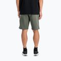 Vyriški šortai Alpha Industries Basic Small Logo II dark olive 3