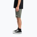 Vyriški šortai Alpha Industries Basic Small Logo II dark olive 5