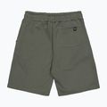 Vyriški šortai Alpha Industries Basic Small Logo II dark olive 9