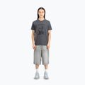 Vyriški marškinėliai Alpha Industries Hawaii vintage grey 2