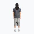 Vyriški marškinėliai Alpha Industries Hawaii vintage grey 3